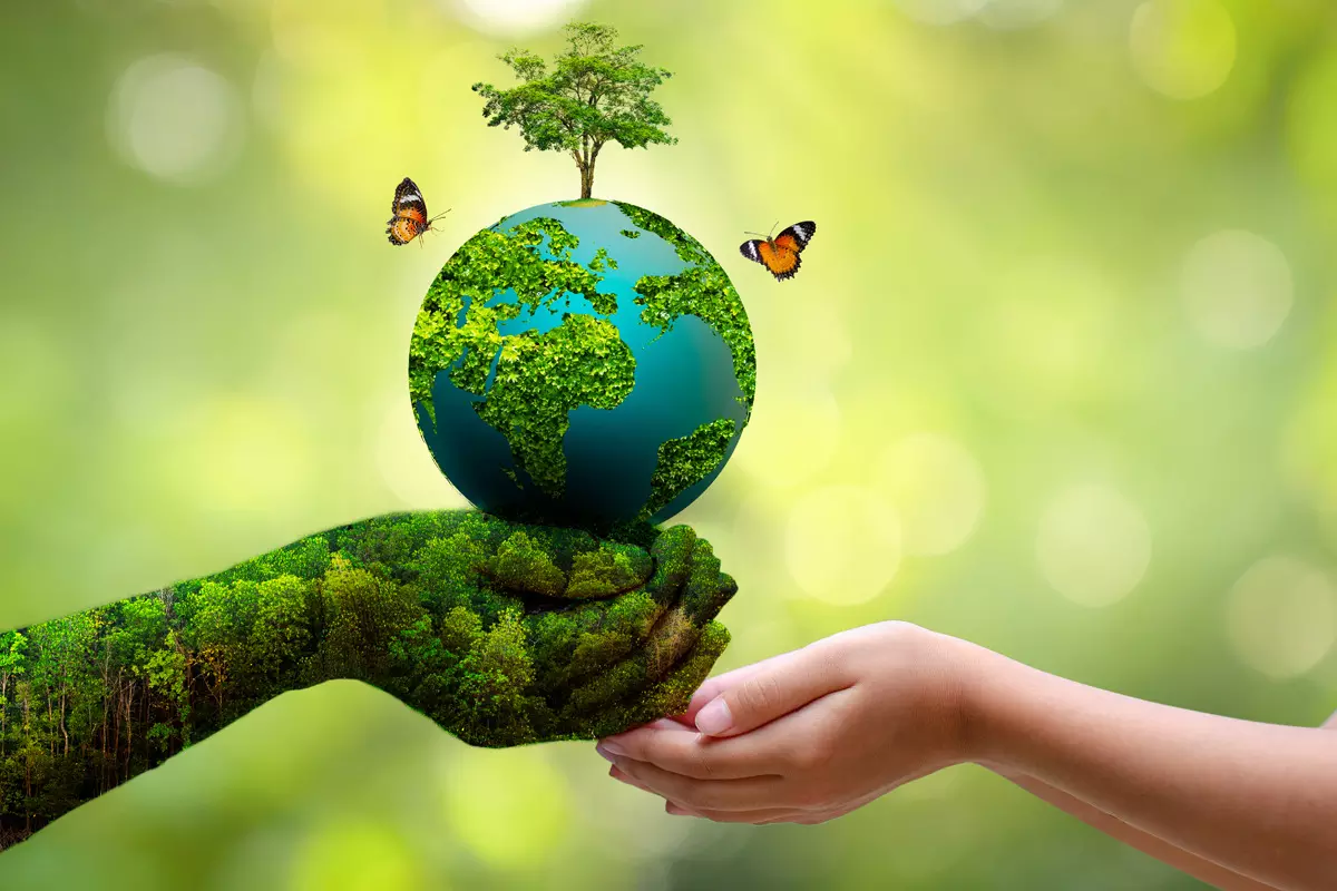 World Environment Day: A Global Call to Protect Our Planet