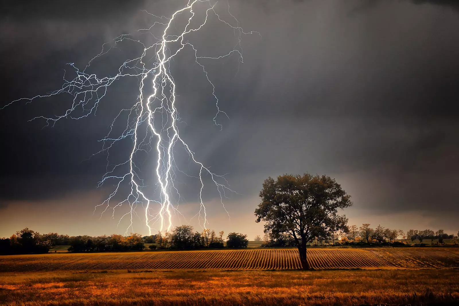 Lightning Strikes Claim 10 Lives in Bihar