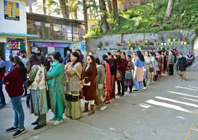 Three Himachal Assembly seats record 71 pc voting