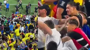 Copa America: Darwin Nunez involved in brawl with fans after Uruguays SF loss to Colombia