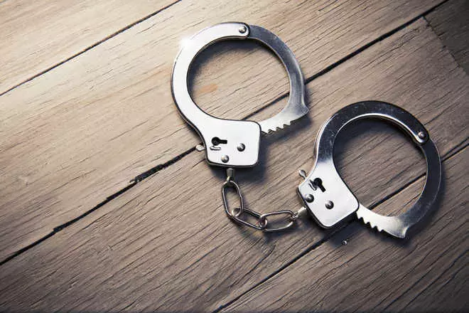 SIT Arrests Fugitive Director in PACL Scam at Mumbai Airport