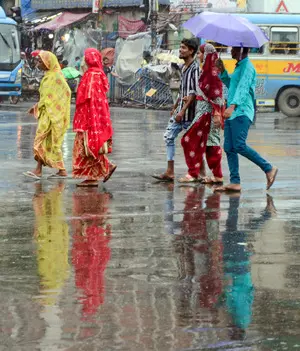 Odisha: Collectors of 13 dists told to review preparedness for rain, flood-like situation