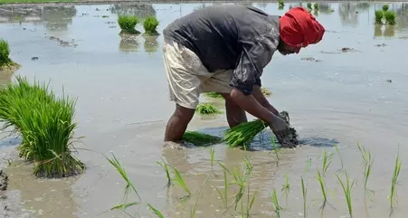 Cauvery Delta farmers in TN demand early release of water from Mettur dam