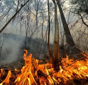 Massive fire rages in California, thousands evacuated