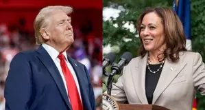 Is she Indian or Black? Trump questions Kamala Harris racial identity