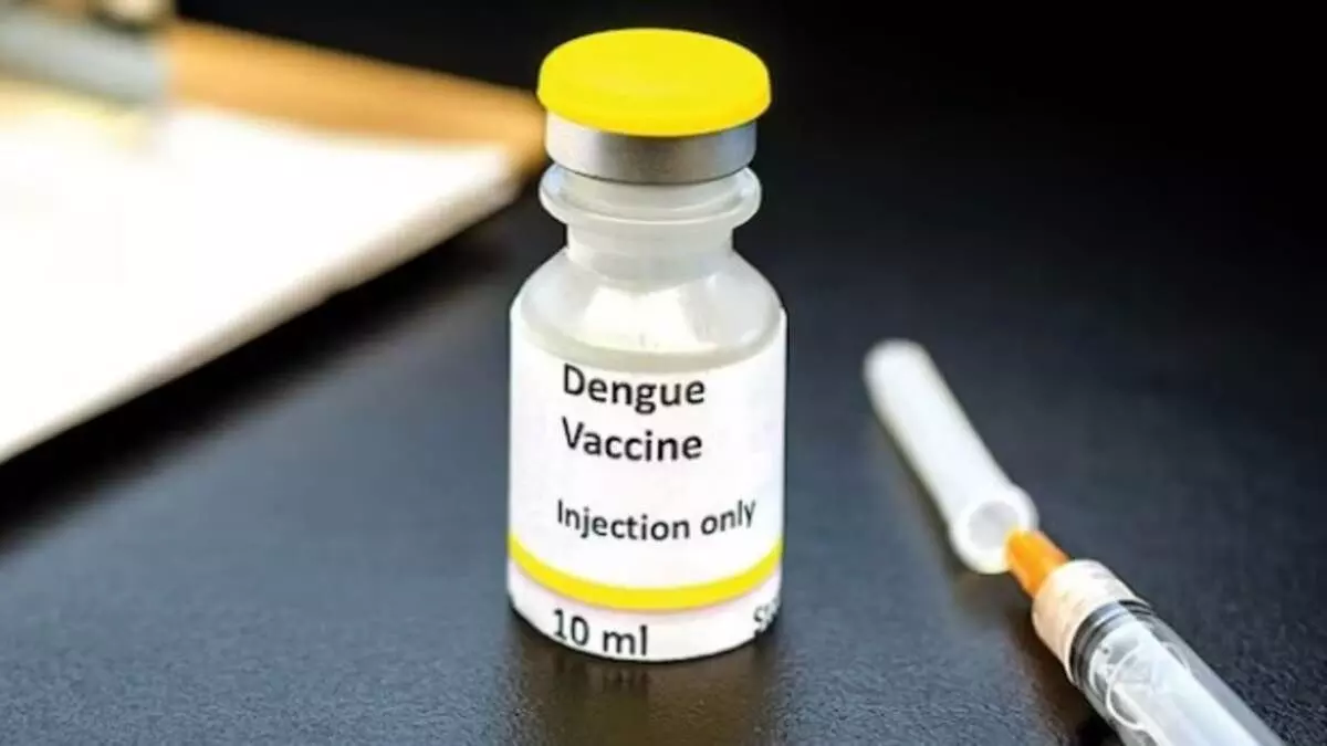 India Launches First-Ever Phase 3 Clinical Trial for Indigenous Dengue Vaccine