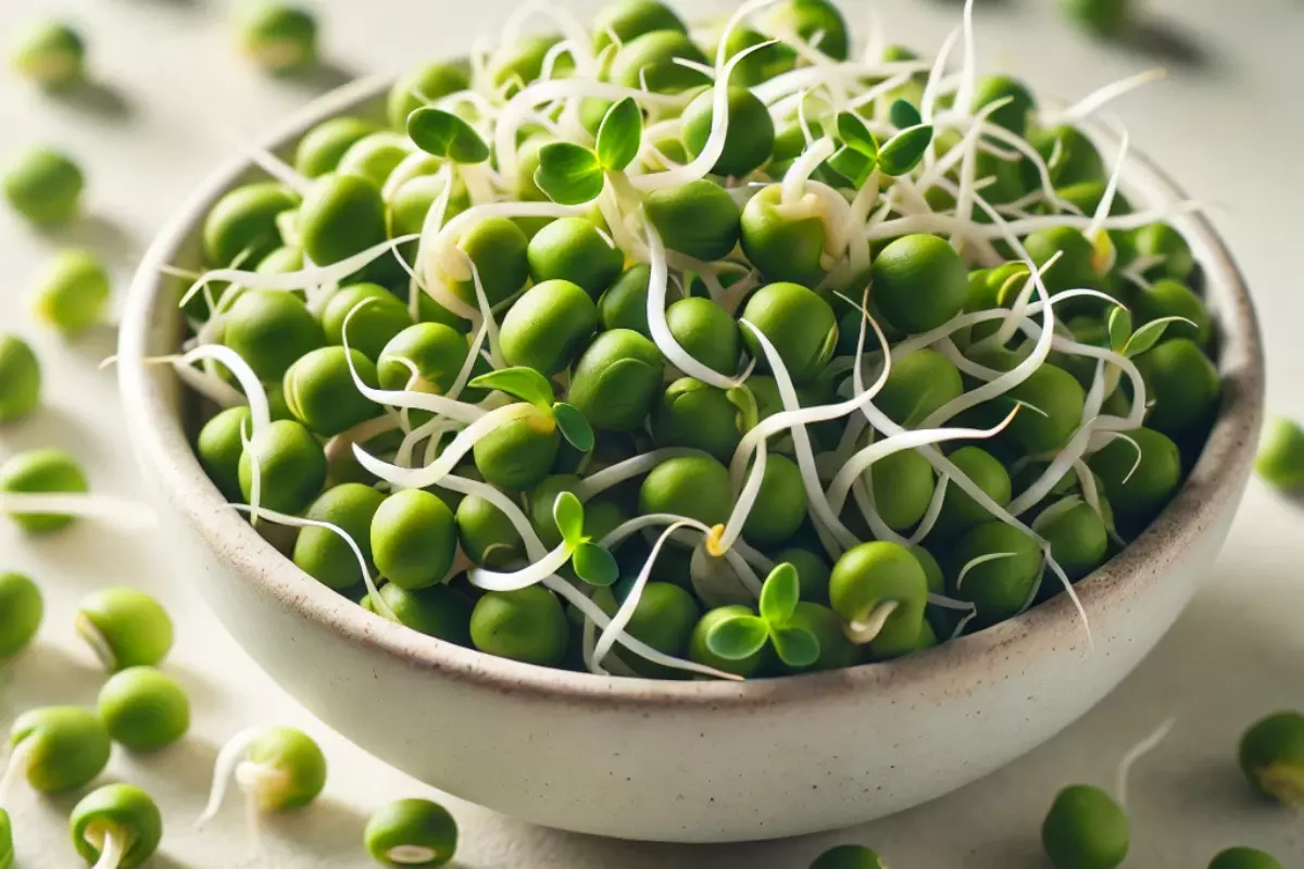 Boost Your Morning Routine: The Power of Sprouted Moong and Other Sprouts for Energy and Vitality