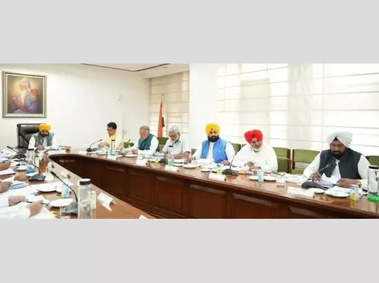 CM Bhagwat Mann-Led Cabinet Gives Nod to Amend Rule 12 of Punjab Panchayat Election Rules 1994