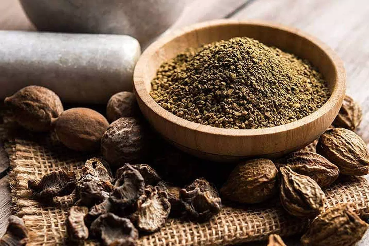 The Visionary Herb: Unlocking the Benefits of Triphala for Eye Care