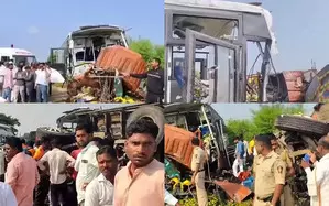 Eight killed in bus-truck crash in Maharashtras Jalna