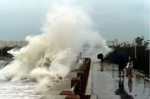 Typhoon Pulasan triggers heavy rainfall in Chinas Shangai; more than lakh evacuated