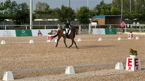 Taarini Lodha bags gold in EFI Concours De Dressage National (CDN) competition