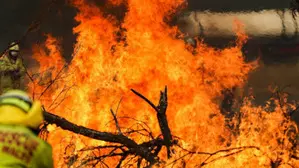 Sydneys beaches under bushfire emergency as firefighters battle blaze