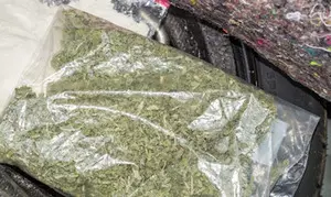 Moroccan authorities seize over 8 tonnes of cannabis resin