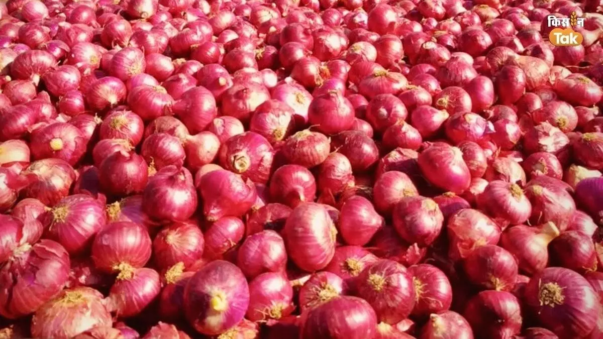 Onion Prices Soar: Government to Increase Buffer Stock Releases to Stabilize Market