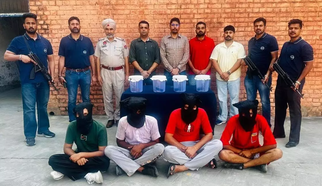 Punjab Police Foils Dacoity Bid with Bust of Jassa Burj Gang; Kingpin Among 4 Held, 4 Pistols Recovered