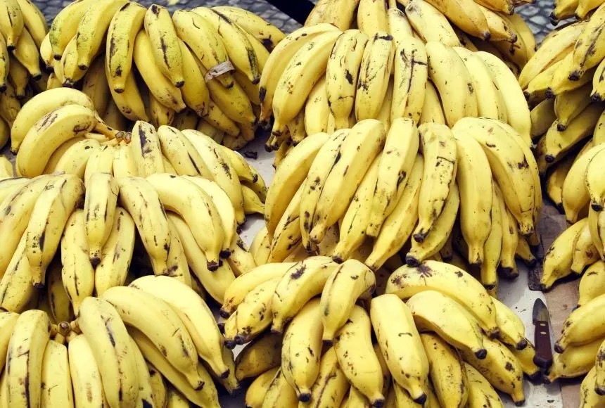 The Superfood Power of Bananas: Boost Your Health with This Nutrient-Rich Fruit