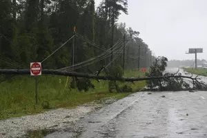 Tropical storm Milton strengthens into hurricane in Gulf of Mexico