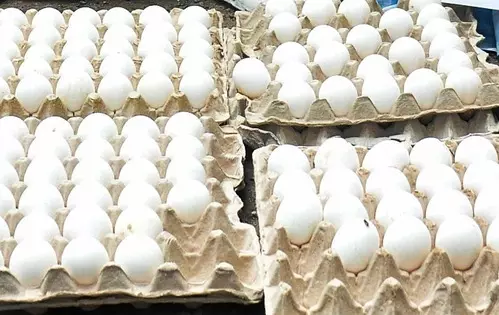 Bangladesh slashes egg import duties, from 25% to 5%