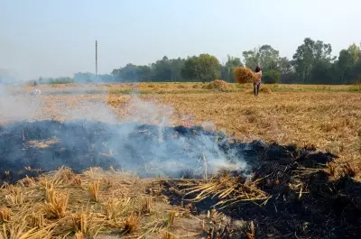 Fix MSP for stubble, Hooda asks Haryana govt