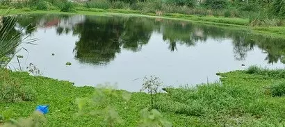 59 ponds in Chennai in full capacity after recent rains