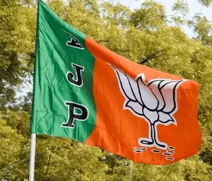 Ktaka bypolls: BJP fields ex-CM Bommais son from Shiggaon; suspense continues on Channapatna seat