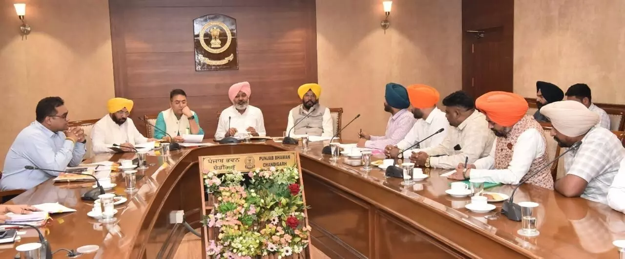 Punjab Cabinet Sub-Committee Directs PSPCL to Prioritize Employee Safety