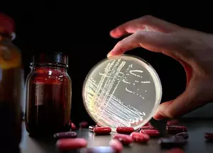 Study links common antibiotic to rise of dangerous superbug