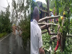 Cyclone Dana aftermath: Relief, restoration work in Odisha underway on war footing