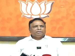 BJP will not campaign for Nawab Malik, says Ashish Shelar