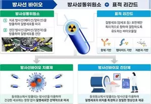 S. Korea to foster radiopharmaceuticals industry for exports by 2035: Science Ministry