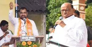 After political furore, BJP leader withdraws slur on Sharad Pawar