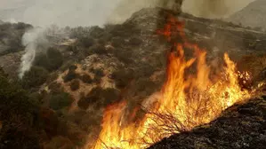 Fast-moving wildfire in California forces thousands to flee