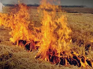 AAPs Punjab unit slams Centre for doubling fine on stubble burning