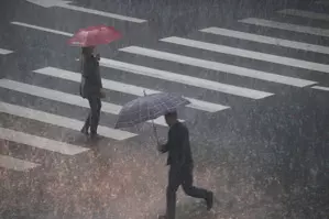 Heavy rain triggers emergency warnings in Japans Kagoshima, Okinawa