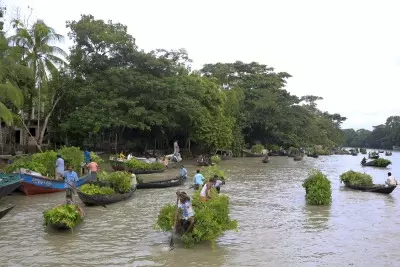 Bangladesh includes 1,000 threatened species in Red List of Plants