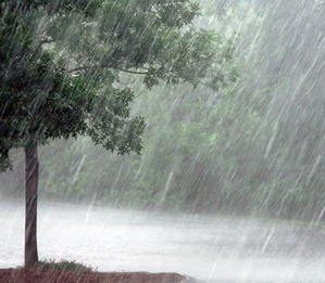 Heavy rains in Tamil Nadu: Health department warns of surge in viral diseases and fevers