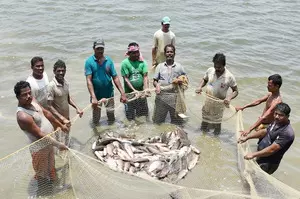 Centre to hold investors’ meet in Andaman for big push to fisheries sector