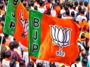 Assam: BJP supporters celebrate in Samaguri after bye-election