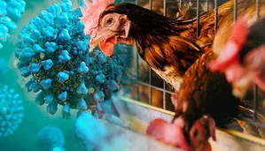 Canada confirms first domestically acquired human case of H5N1 bird flu