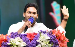 YSRCP special teams to support its social media activists