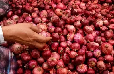 CM Shinde orders stern action against hoarding of onions amid rising prices