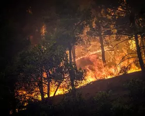 Ecuador declares national emergency amid wildfires, drought