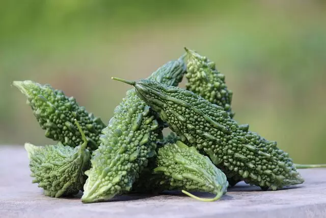 Bitter Gourd: A Natural Remedy for Health and Healing