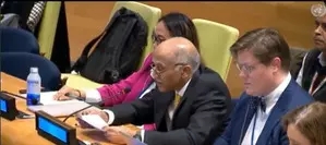 Inclusion of countries from Africa, Latin America for permanent seat must for effective UNSC: Parvathaneni Harish