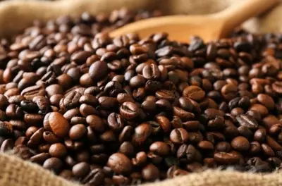 Ethiopia launches national coffee platform to maximise earnings