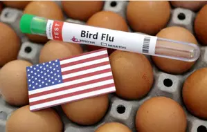 US CDC confirms H5N1 bird flu infection in child in California