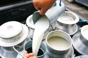 Indias milk production rises 4 pc to cross 239 million tonnes in 2023-24