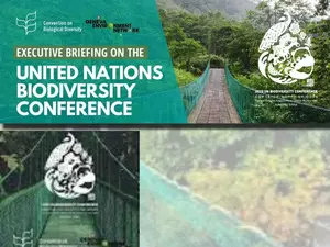 UN Biodiversity Conference to reconvene in February in Rome