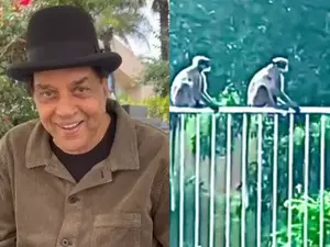 After squirrels and peacocks, Dharmendra has a new visitor